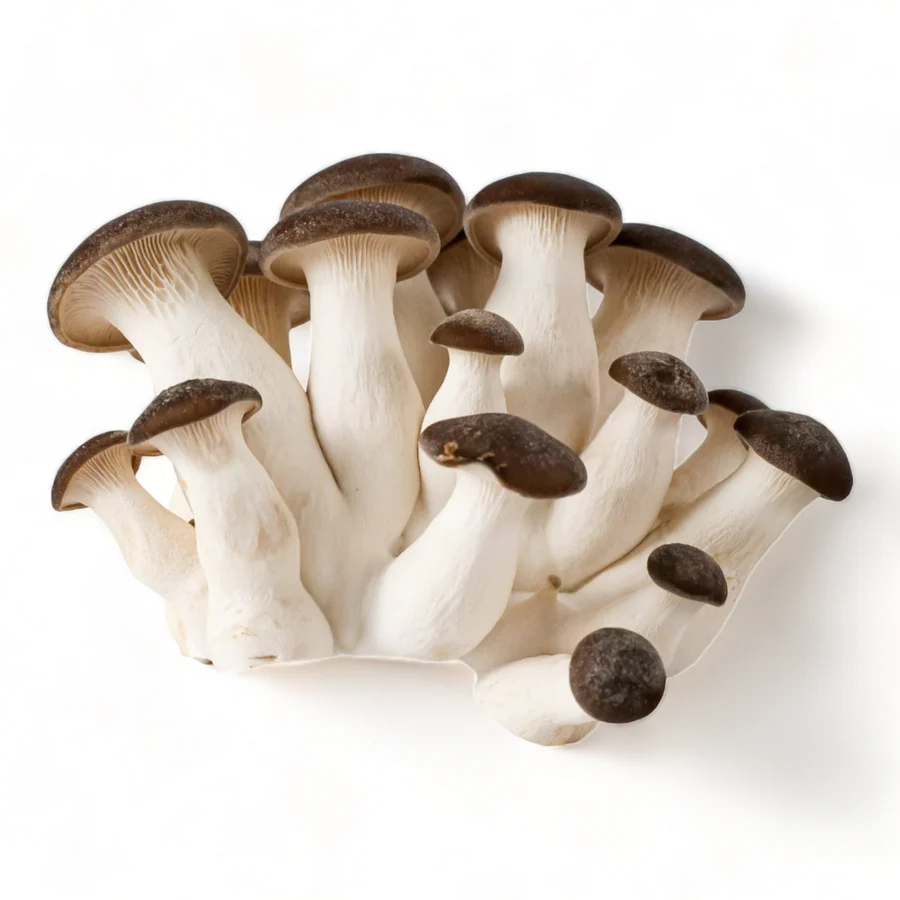 Mushrooms vegetables for weight loss