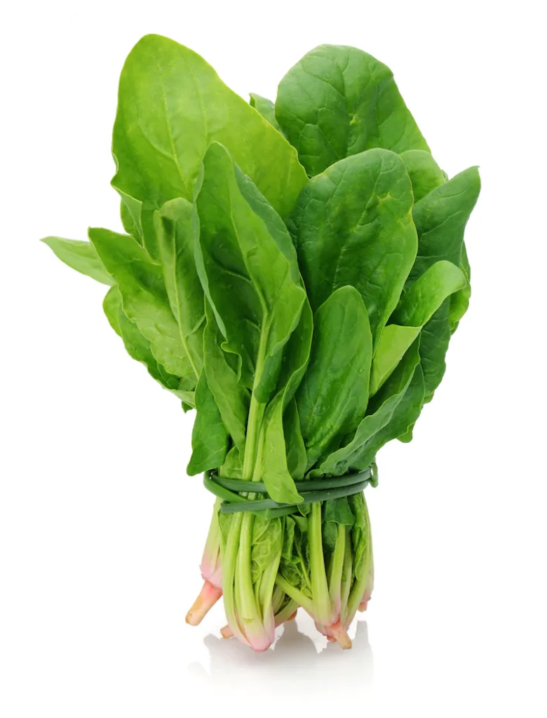 Spinach vegetables for weight loss