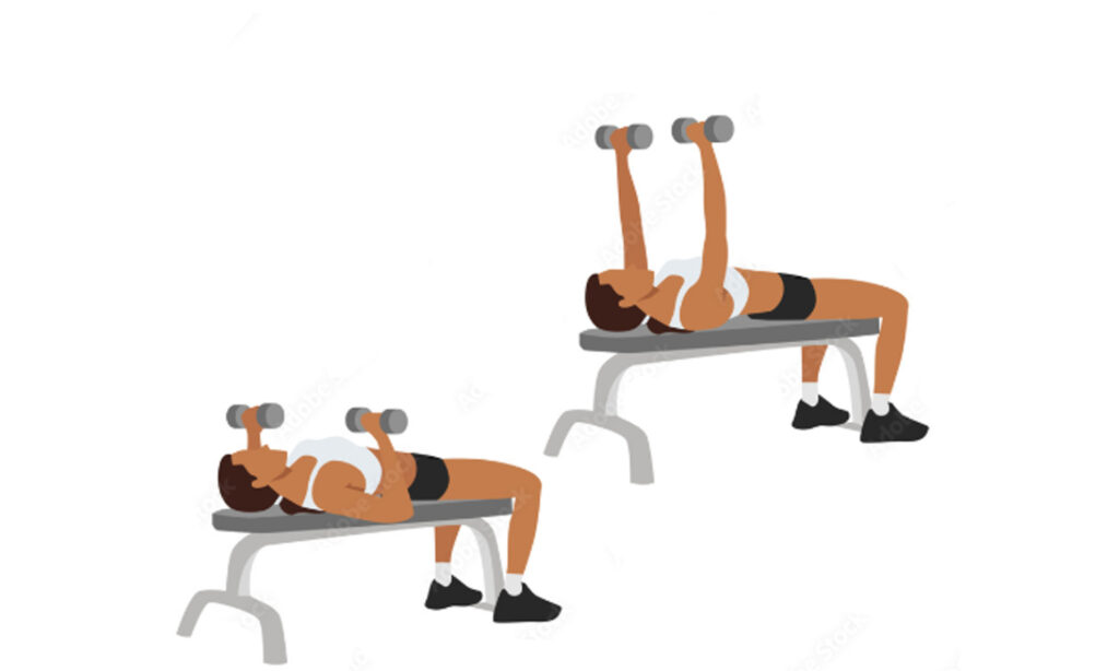 Dumbbell Chest Press