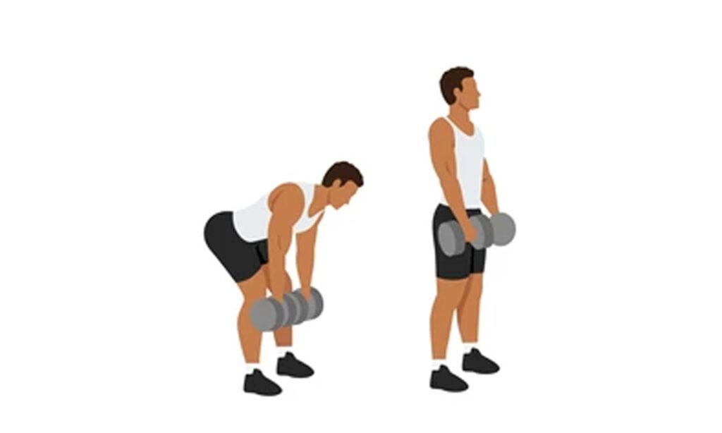 Dumbbell Deadlifts