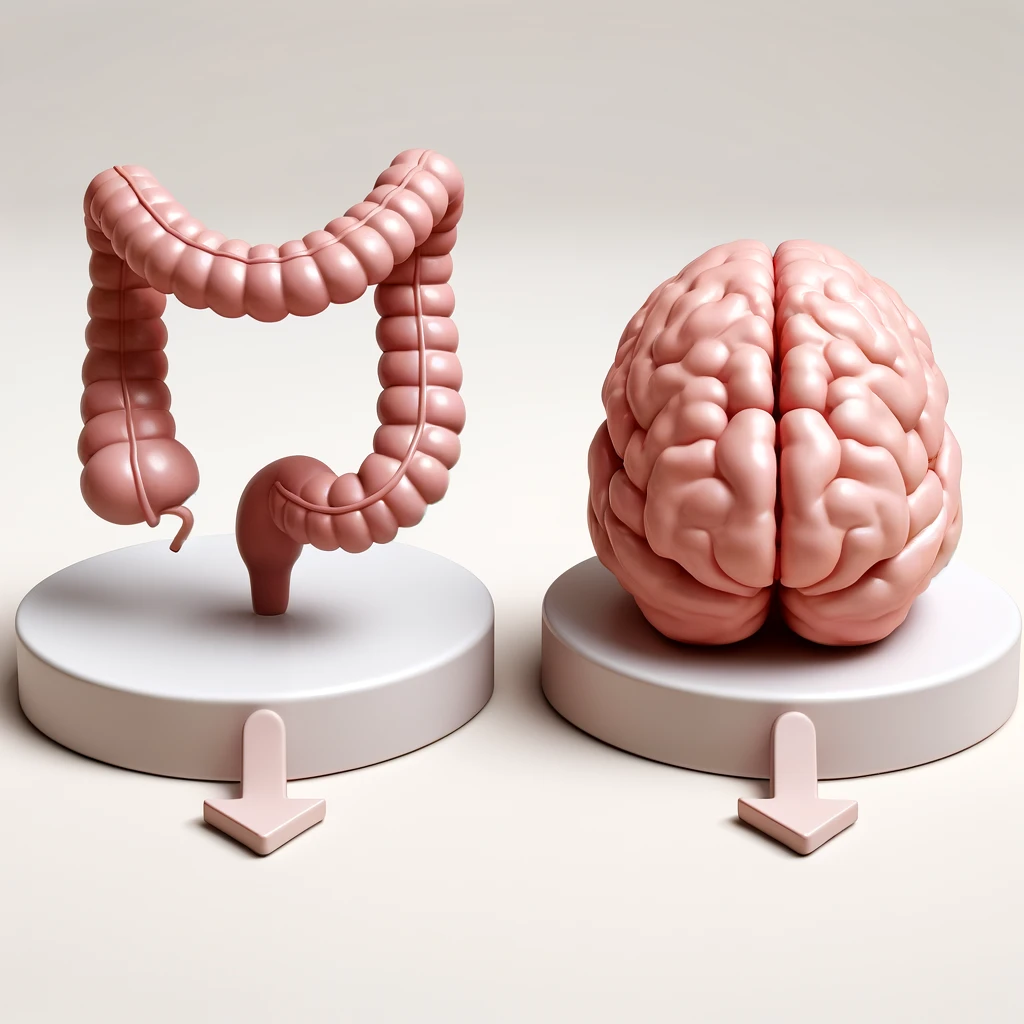 Physiology How Cortisol Drives Weight Gain