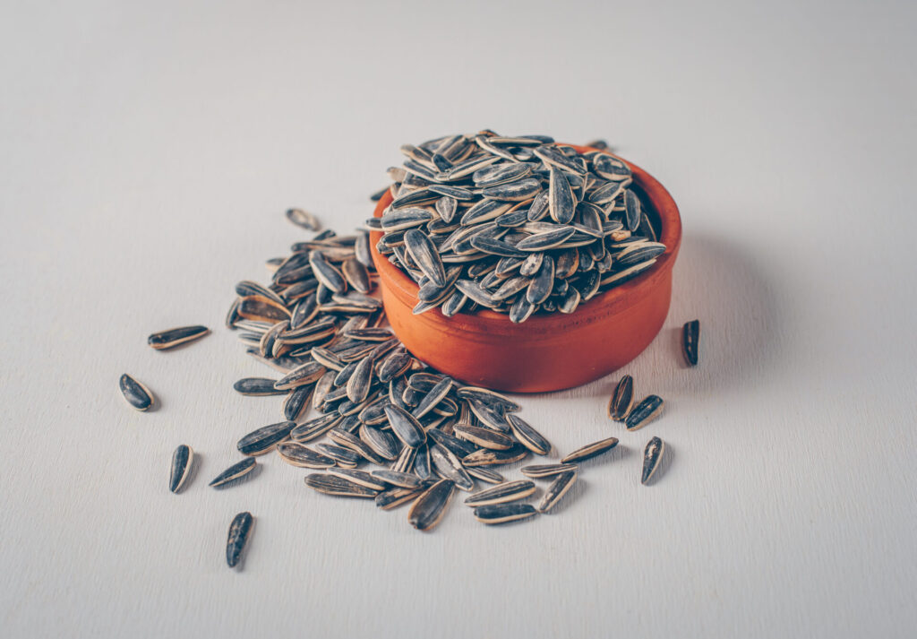 Which Seed is Highest in Protein - sunflower seeds