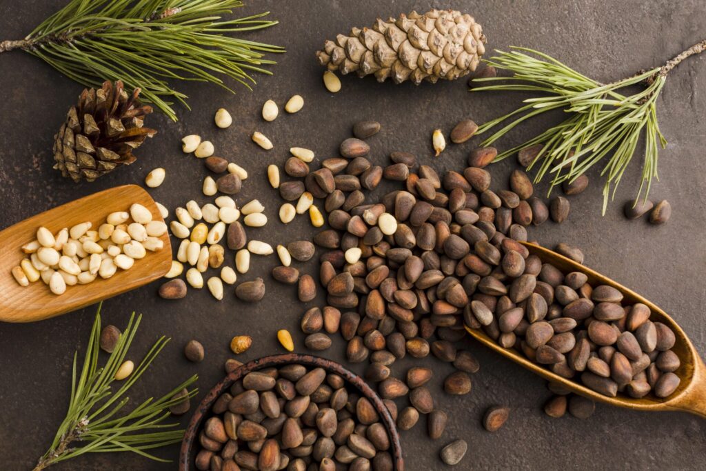 Which Seed is Highest in Protein - Pine nuts